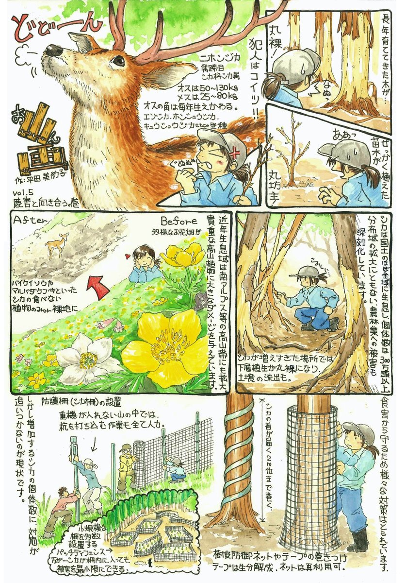 緑の雇用 Ringyou Net En Twitter 鹿害と向き合うの巻 長年育ててきた気が丸裸 せっかく植えた苗木が丸坊主 農林業への被害が深刻化している鹿害について紹介しています 人と森とシカの上手な付き合い方ができますように 林業漫画 お山ん画 作 平田