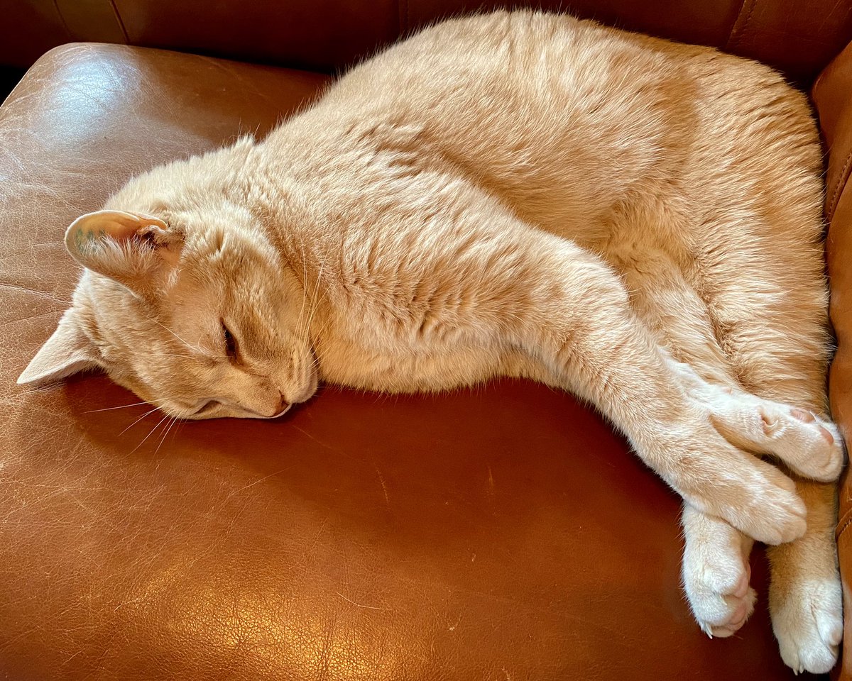 TheMuscleTussle's tweet photo. Current stare at our household π₯± #parentine https://t.co/F2u0Z38afC