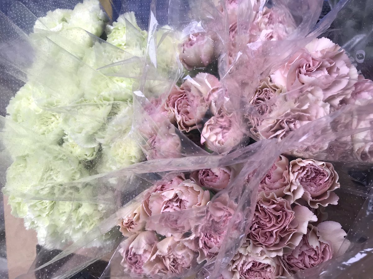 花と葉っぱの店 プント おはようございます 今日は仕入れで市場からのスタートです こちらはカーネーション プラドミントと クレオラ トルコキキョウ セレブリッチホワイト 名前負けしてませんね マトリカリア シングルペグモ 名前にも個性が