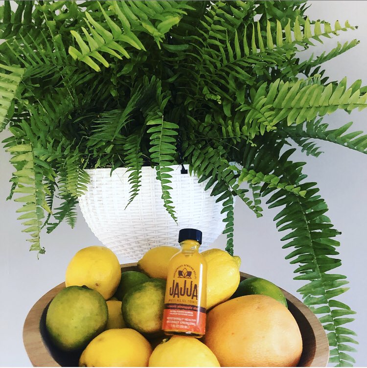 WellnessJajja's tweet photo. Birds of a feather!! ..... these delicious immune boosters are keeping my body happy lately and my customers too! #immunesupport #stayhealthy #tonic #drinking #fitness #mindfulness #realmedicine https://t.co/6FX0zhwX3x https://t.co/dZ4JfL8T8c