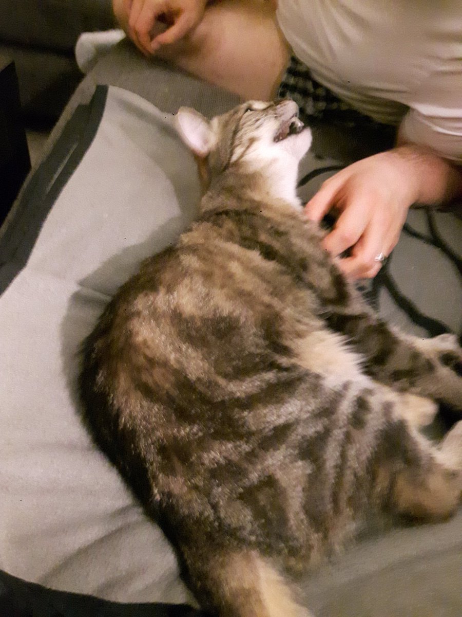 She is beauty, she is grace (mid yawn)