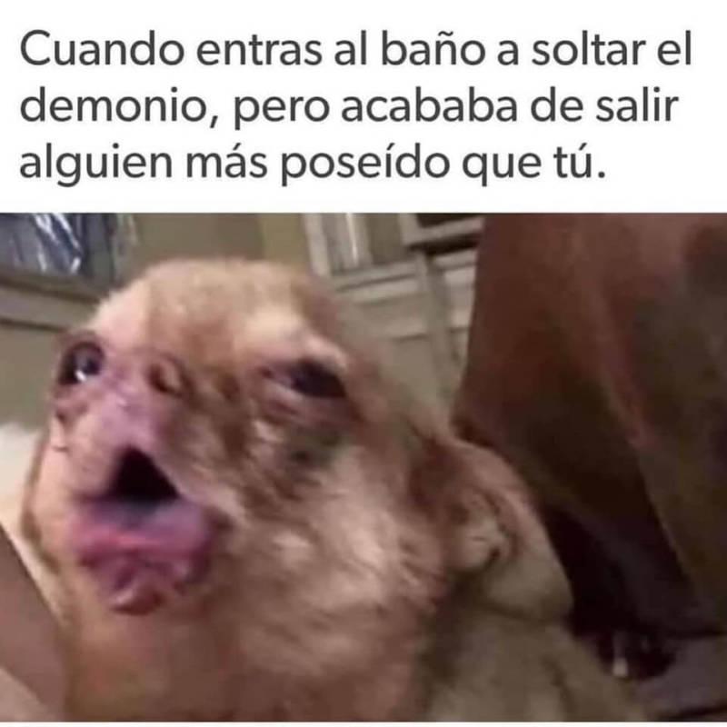 Imposible No Cantarla En 2020 Memes El Humor Memes En Espanol