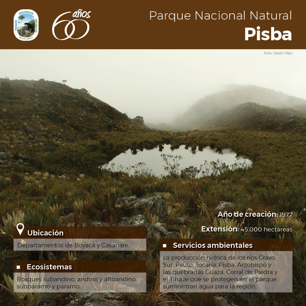 Boyacá y Casanare tienen el privilegio de hospedar al Parque Nacional Natural Pisba. Conoce más en la imagen.
#ConocerSinIr
#Parques60Más2