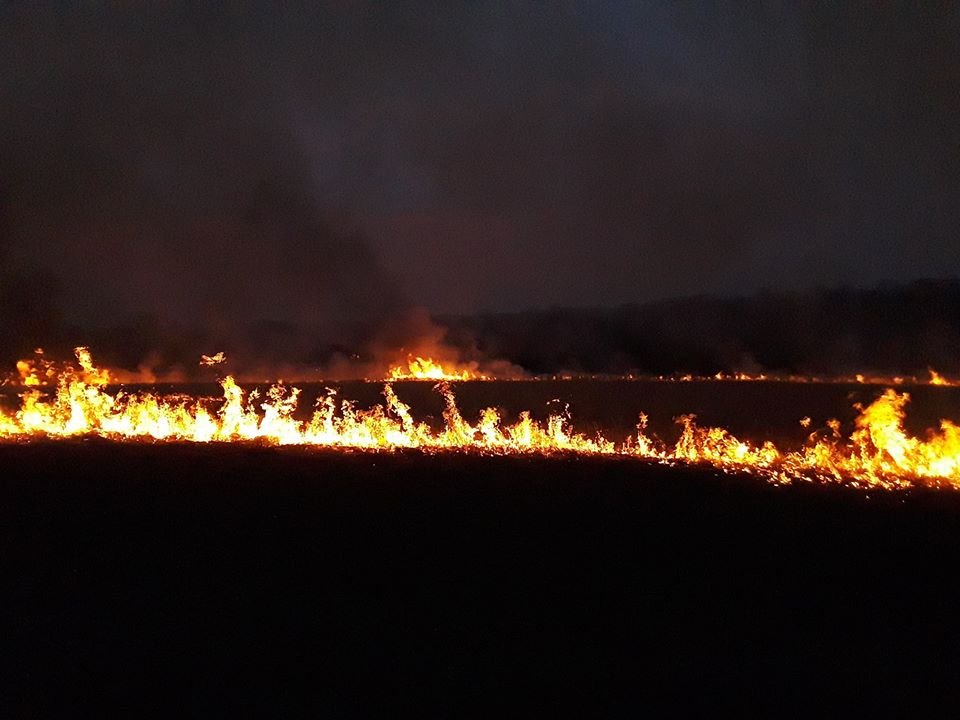 It's concerning to see that a lot of planned prescribed burns are being canceled because of the pandemic. These burns will help reduce the risk of catastrophic wildfires later this year (at least in some western ecosystems). Photo is a March burn at my family prairie in Kansas.