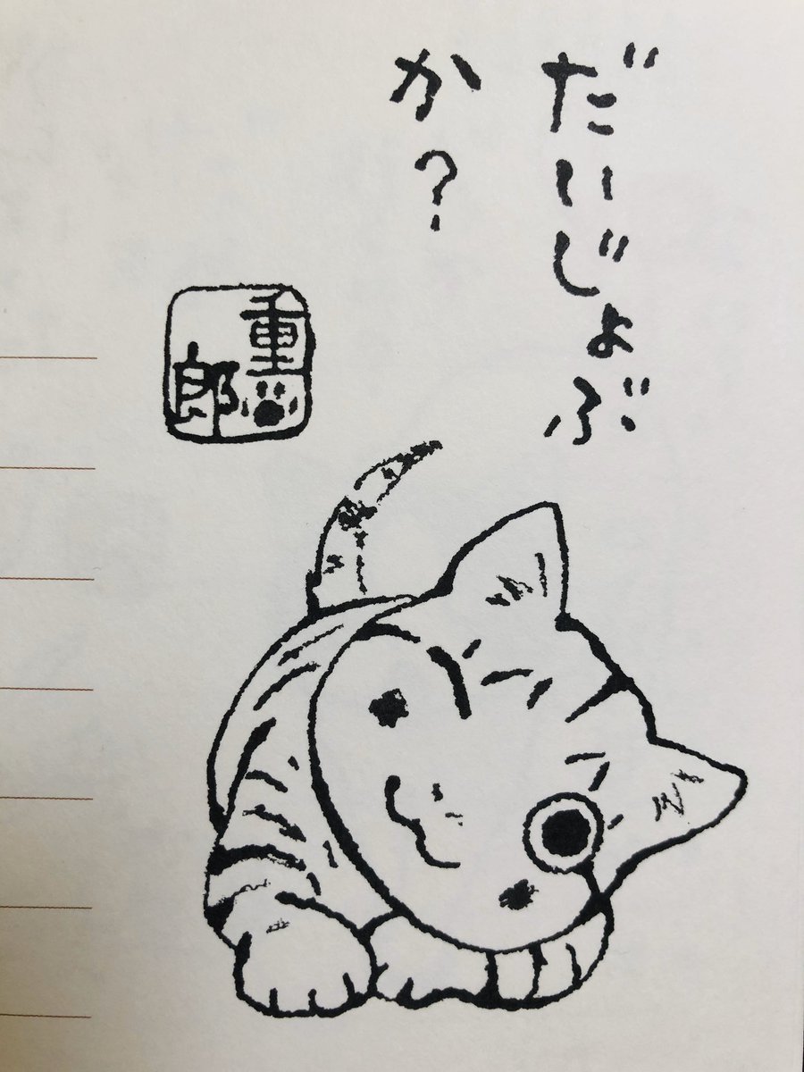 大丈夫じゃないと思うけど
大丈夫な時間も
持てますように

今日
ご無事で

#夜廻り猫 