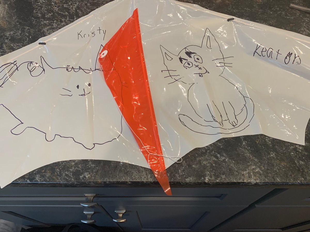 completeHSM's tweet photo. One of these does not belong... Some CHSM students have mad art skills. Some teachers do not. Can you guess which kite belongs to Kristy? #creditfortrying #ontheartstrugglebus #talentedstudents #howlongdidthattake @maize266 https://t.co/nFiJhfXAgE