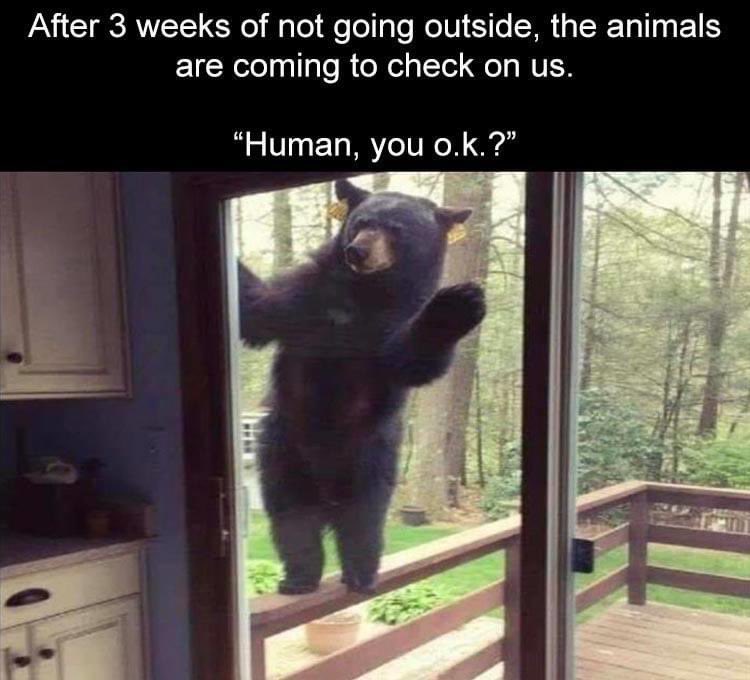 AliDupree's tweet photo. Just checking on you! #humans #QuarantineLife #Quarantine #StayHome #OpenSC #OPENAMERICANOW https://t.co/otpIZpnG0e