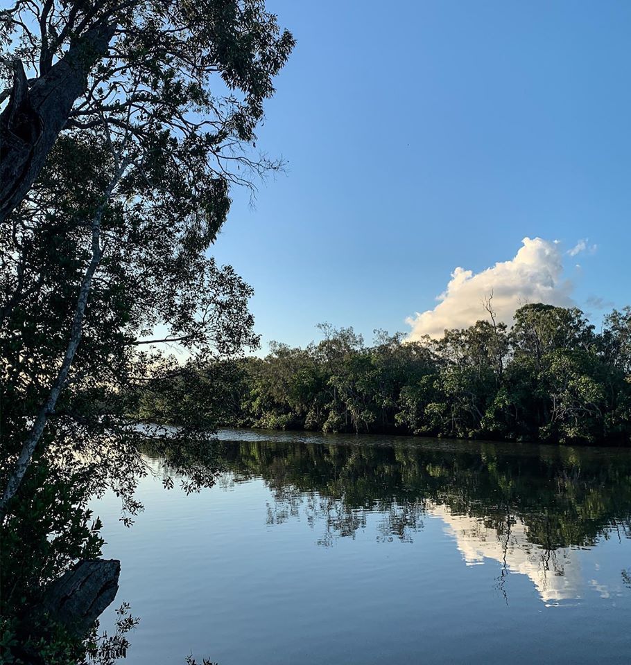 Day 22 of Distance-d Ed cookerandalooker.com/day-22-of-dist…