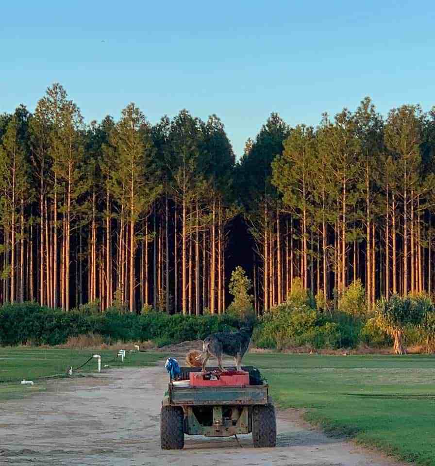 Day 23 of Distanced Ed cookerandalooker.com/day-23-of-dist…