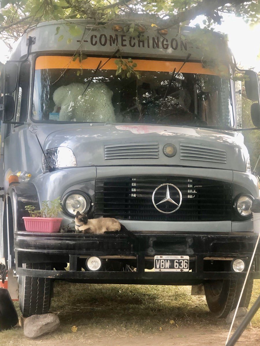 1114El's tweet photo. El parabrisas del Comechingón fue lo más complicado: del original de dos partes curvas hubo que adaptarlo a una con laterales 🤷‍♀️ y colocar el “virdio” ni les cuento! 

#casarodante #motorhome #campingcar #camping #autocaravana #airelibre #rodanteando #viajesobreruedas https://t.co/j9vaZJ0vXt