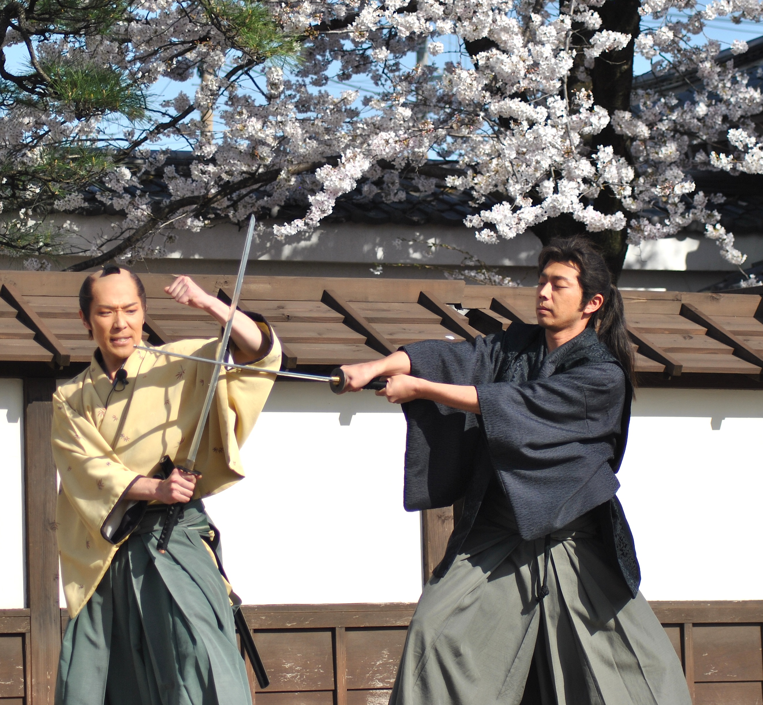 RoninDave on Twitter: "Quintessential Samurai Sword Duel under the Cherry Blossoms https://t.co/4k2HtZOjTE #Japan #samurai #cherryblossoms #kyoto # katana #Entertainment #SAKURA https://t.co/jR206IZgc5" / Twitter