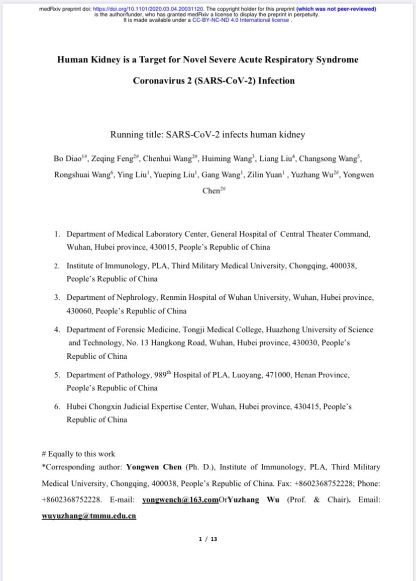 In reports of March & April 2020 Chen Yongwen & his collegues at PLA Institute of Immunology, General Hospital of Central Theatre Command, Department of Pathology of PLA; stated that Human Kideny is a direct target for COVID-19. It also affects the heart, spleen & lymph nodes.