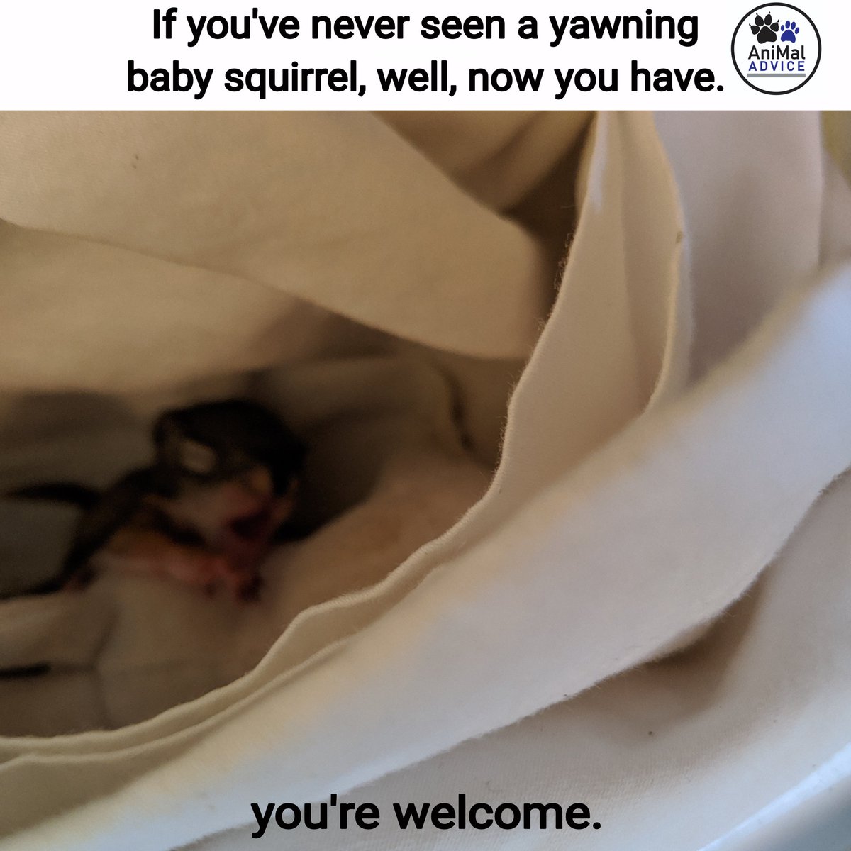 Mallory Gemus tweet media