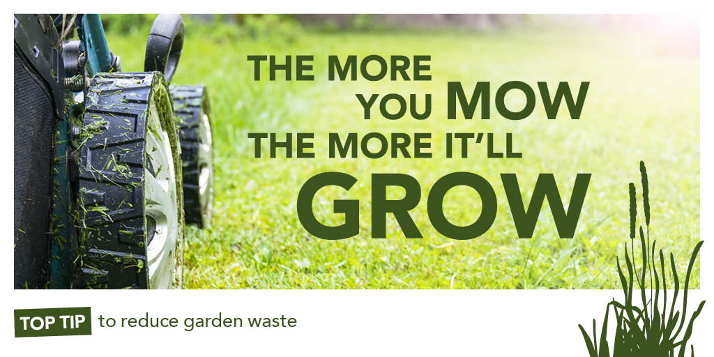 SercoESUK's tweet photo. #didyouknow mowing a lawn can stimulate the grass’s protection systems? 

When this happens it will grow faster to replace what you cut off.

#mowless #toptip #gardenwaste #gardening #ecofriendly #grasscuttingtips #reducegardenwaste https://t.co/U8CNfhMGkG