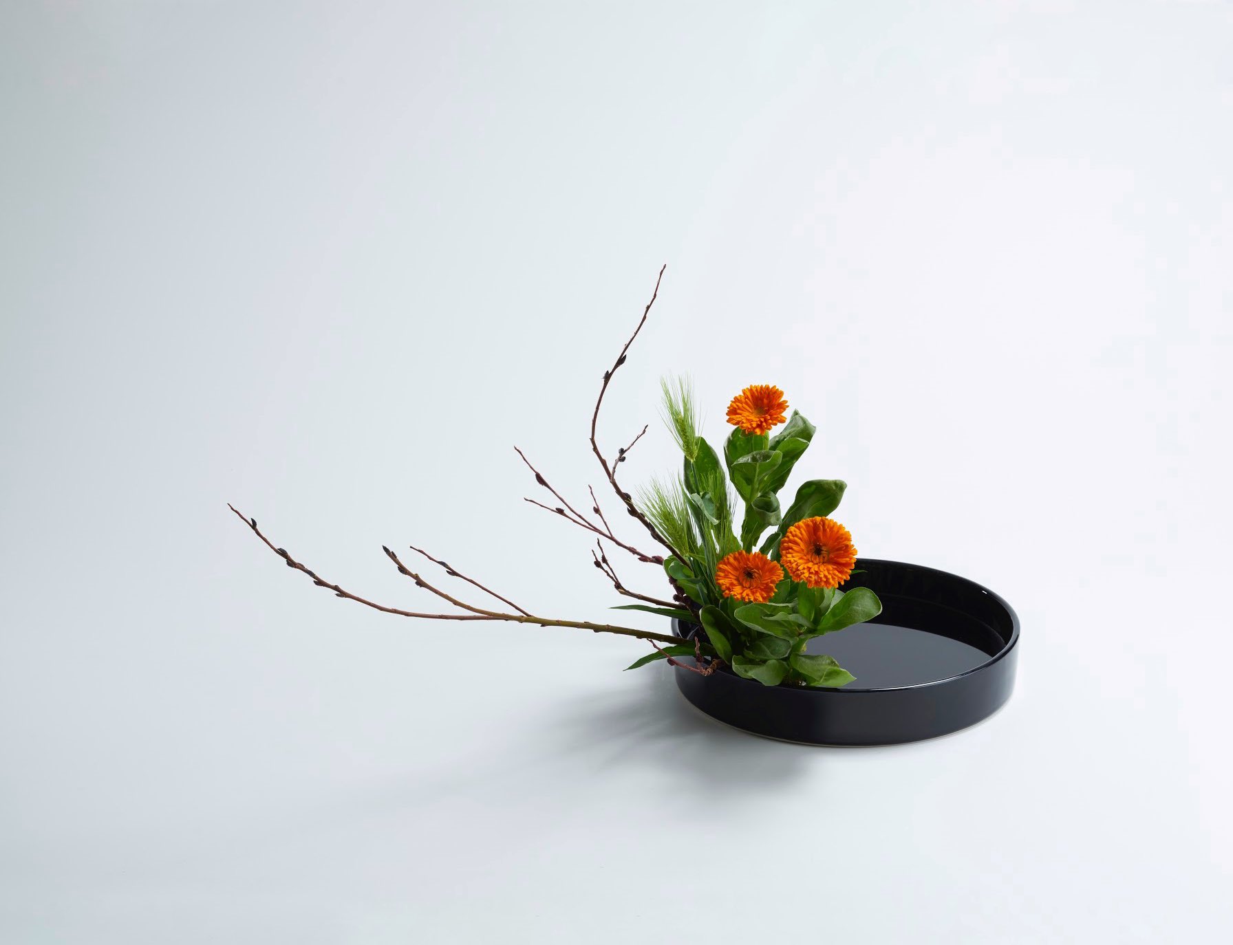 華道 いけばな花器 HBN 小原流 黒貫入 新品 楽天市場】HIGHAWK花器