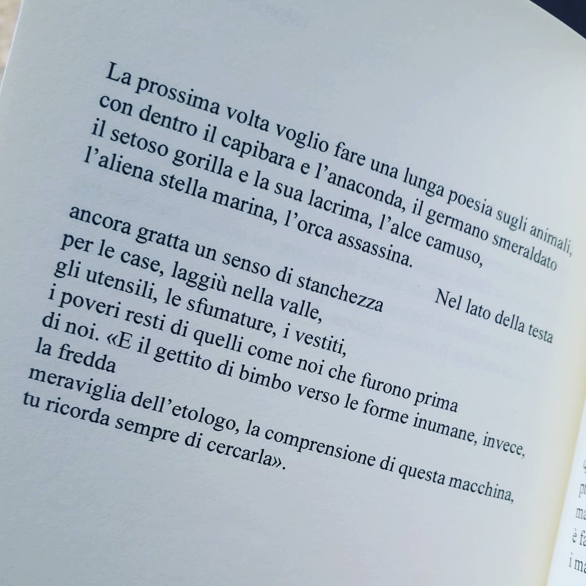 È stato bello ieri pomeriggio a #lorablu del Silent Book Club Arona parlare di poesia con Edoardo Mosiewicz, che ha presentato "La somma dei sensi" <a href="/italicpequod/">Italic & Pequod</a> 2019.
Ringraziamo tutti i partecipanti con una delle poesie che troverete nel libro.
<a href="/silentbookclub/">Silent Book Club</a>
#iorestoacasa