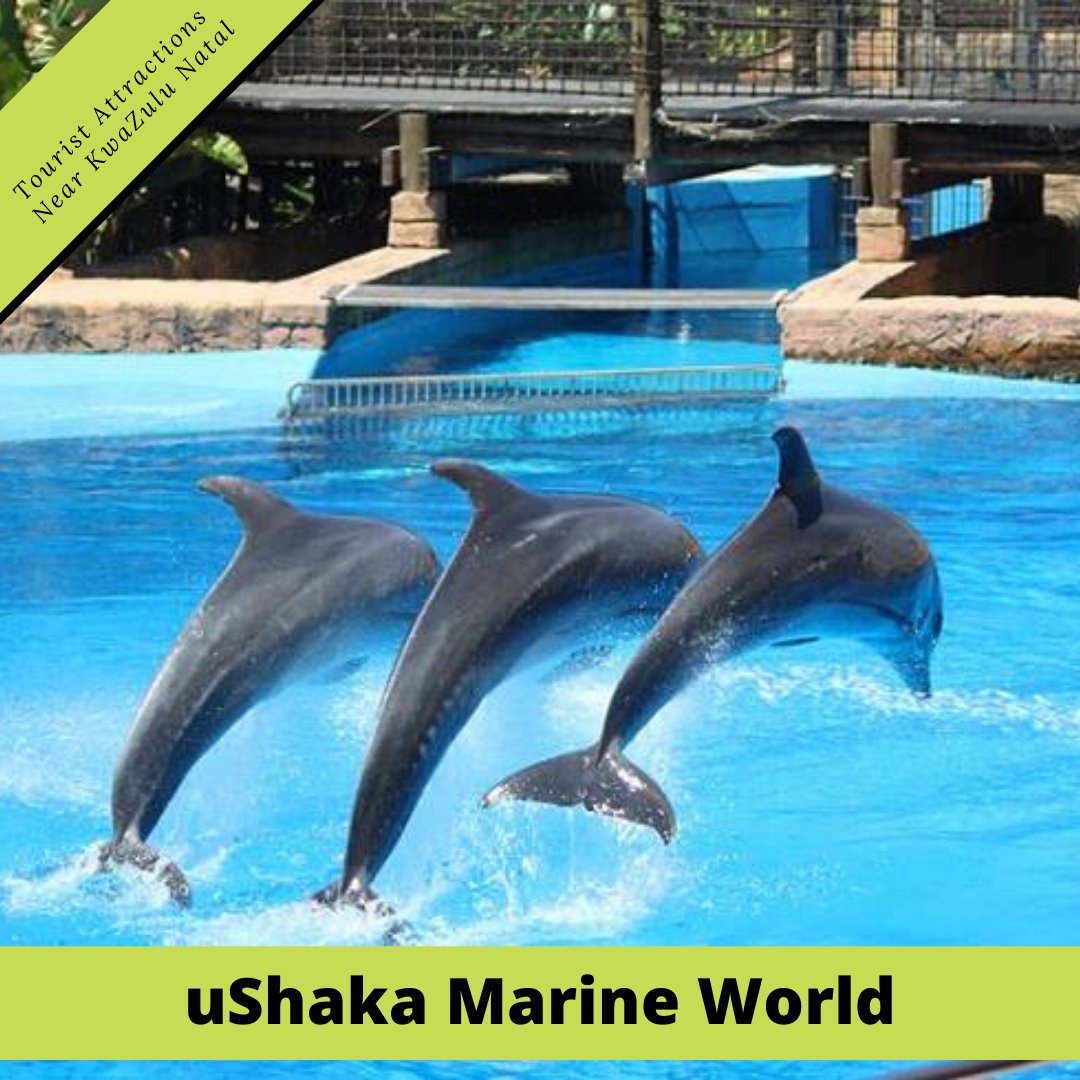 impulsegetaways's tweet photo. Attractions Near KwaZulu Natal ~ An exciting marine theme park in Durban, comprising Sea World, the uShaka Village Walk shopping centre and the Wet ’n Wild Water Park, uShaka provides the ideal location for a family day out in the Durban area. https://t.co/7VFYg5RSFX