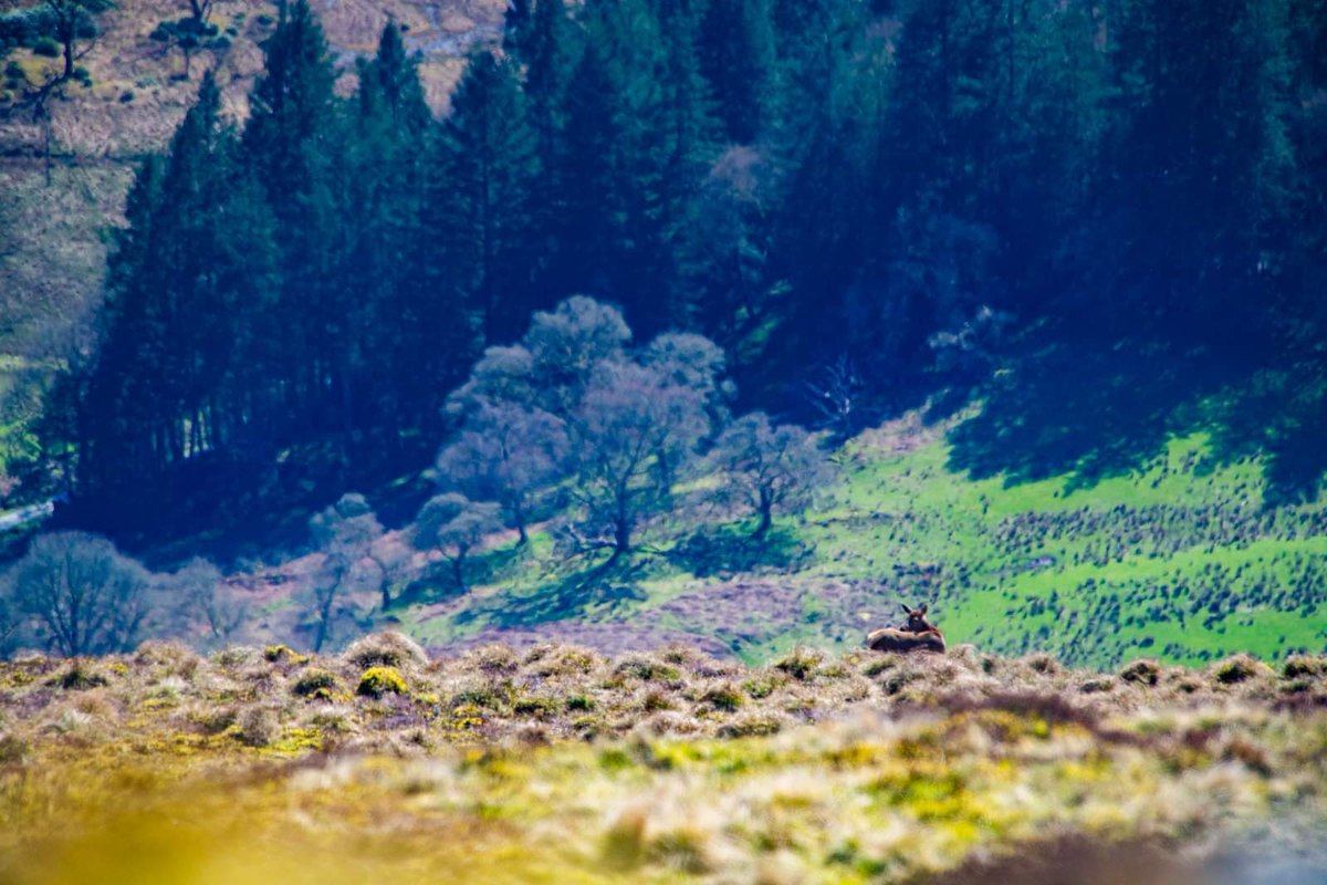 Oh so very lucky to have safe, easy rides to views like this, all from the front door.

Scotland turning all the dials to 11 yesterday 🏴󠁧󠁢󠁳󠁣󠁴󠁿 😍 🏴󠁧󠁢󠁳󠁣󠁴󠁿

<a href="/VisitScotland/">VisitScotland</a> <a href="/lomondtrossachs/">Loch Lomond & The Trossachs</a>