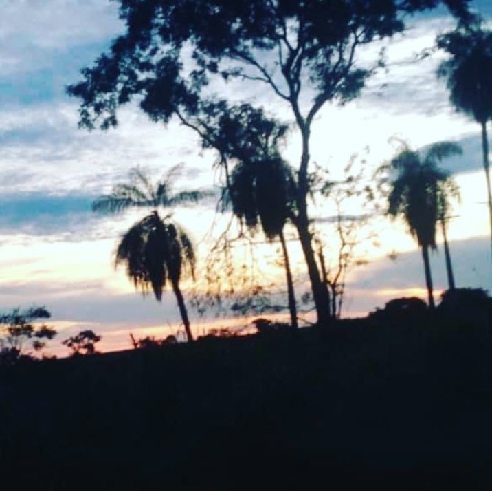 Jp7Victor's tweet photo. Um zap de manhã não significa apenas bom dia. Significa também: Eu penso em você quando eu acordo!
#Bomdia 
#fallowfield 
#love
#friends 
#NewYork https://t.co/Hipb1mA51h