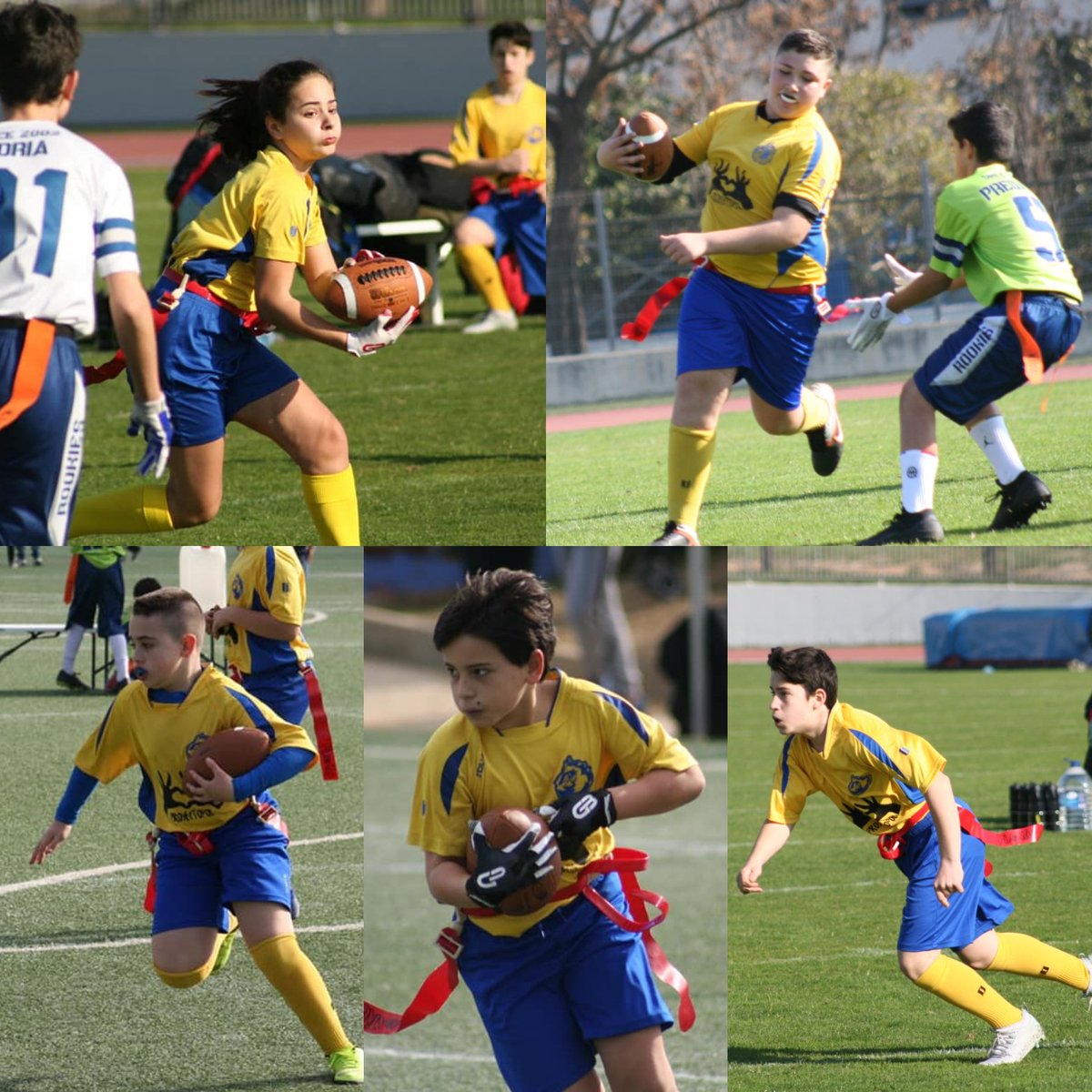 wolves_sarria's tweet photo. #WOLVES10ANYS 
10/10 EL FUTUR
Acabem la sèrie 10 anys mirant al futur Amb la base sub11 que 2018 va guanyar Copa-Lliga-Spanish el club té  il.lusió pels propers 10 Jugadors i tècnics amb talent,implicació i companyerisme per fonamentar el creixement de #wolves Per molts anys més! https://t.co/tGQTRO3aga