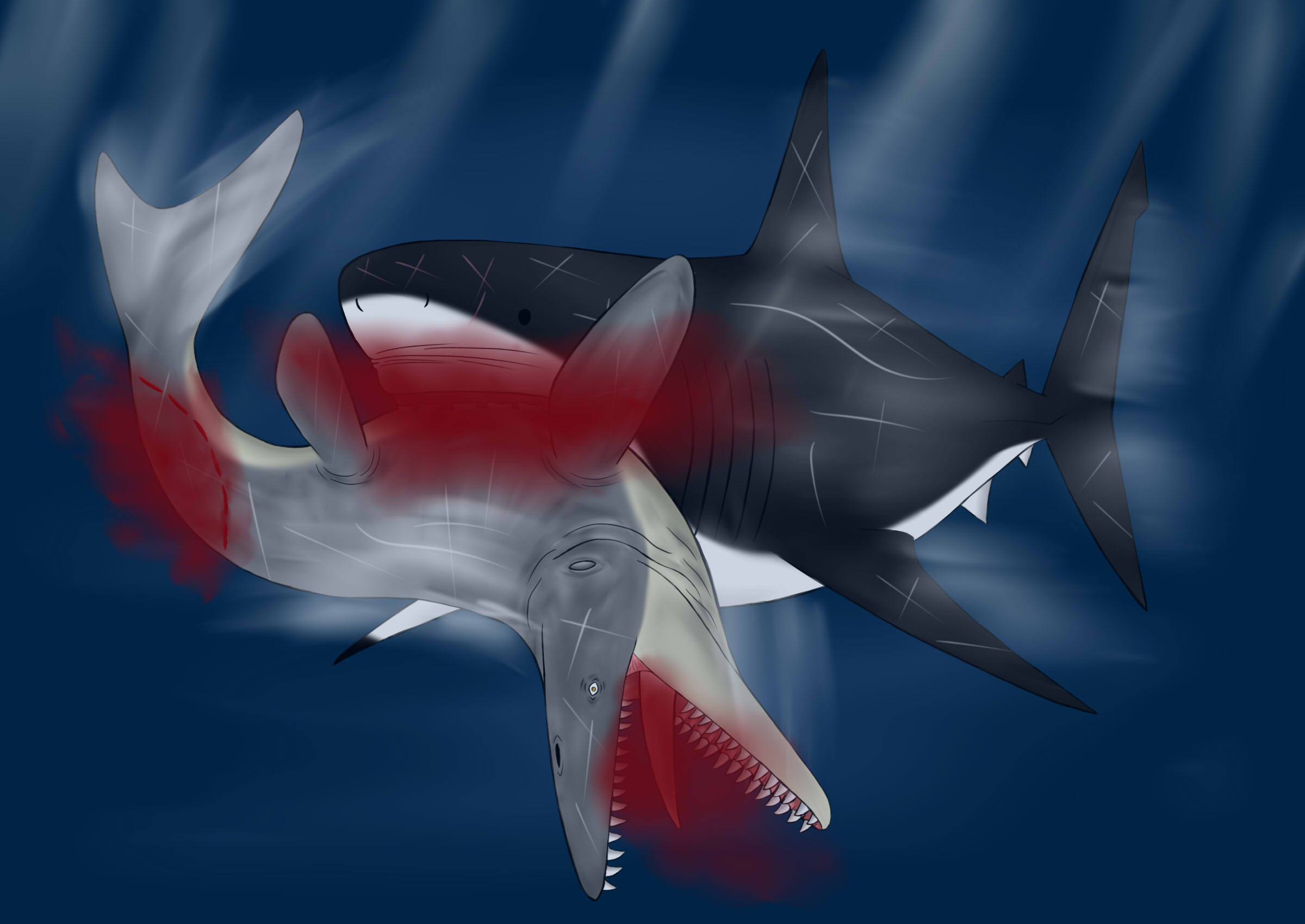 Mosasaur Vs Megalodon