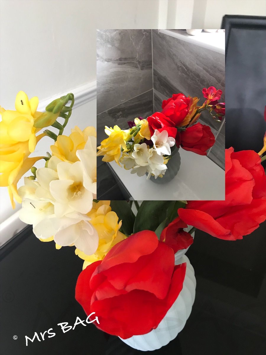 BAkinmutande's tweet photo. Bleak as things may seem or feel at the moment, remember, nature never gives up on us. 1st flowers of the season, from the bottom of my garden specially for you.  Courage &amp; strength be yours this week! https://t.co/AdWRzUDIX7