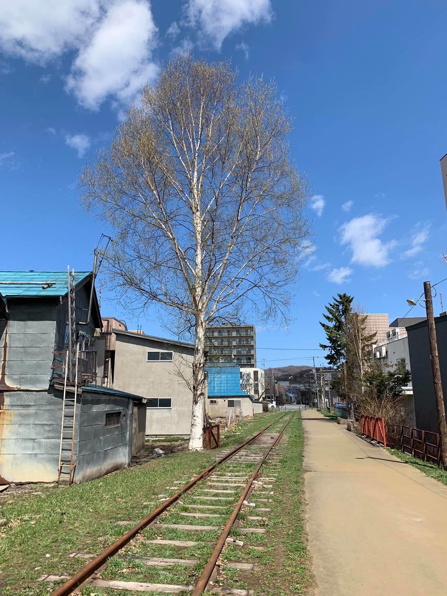 quzillayama's tweet image. こんにちは！おたる！
まだ4月20日も小樽にいました。
寂しい気持ちで、ひとり手宮線を歩いた朝。
奥は手宮公園。
2019年4月20日

#小樽よいとこ #小樽酔いとこ