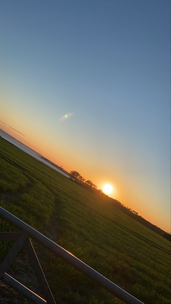 george0mg's tweet photo. my first day being 25 was perfect 😌 https://t.co/Tw3wpZ84lU