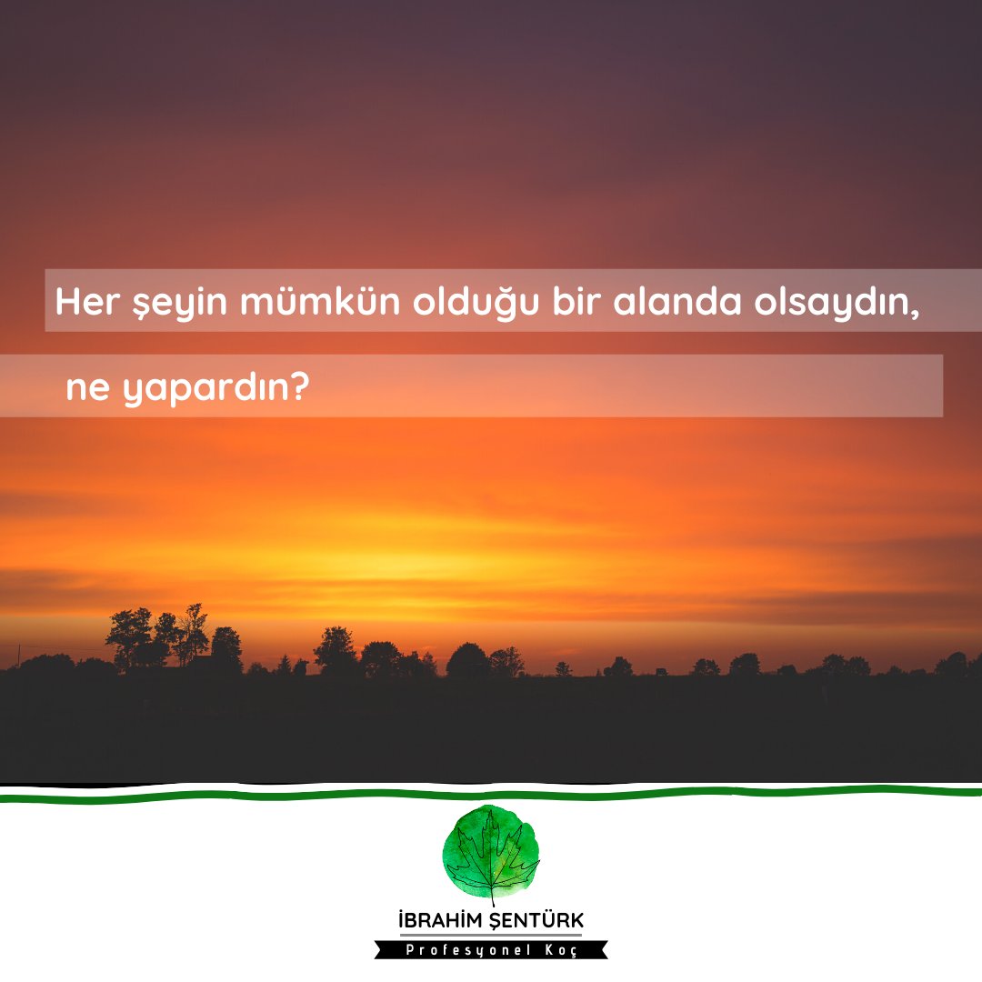 Ulaşmak istediğiniz hayaliniz/hedefiniz/vizyonunuz nedir?

Bunları gerçekleştirmek için her şeyin mümkün olduğu bir alanda olsanız, hayatınızda neleri farklı yapardınız?

#profesyonelkocibrahimsenturk #koçluk #uzmankoç #yaşamkoçu #eğitimkoçu #hedef #kariyer #okul #işhayatı