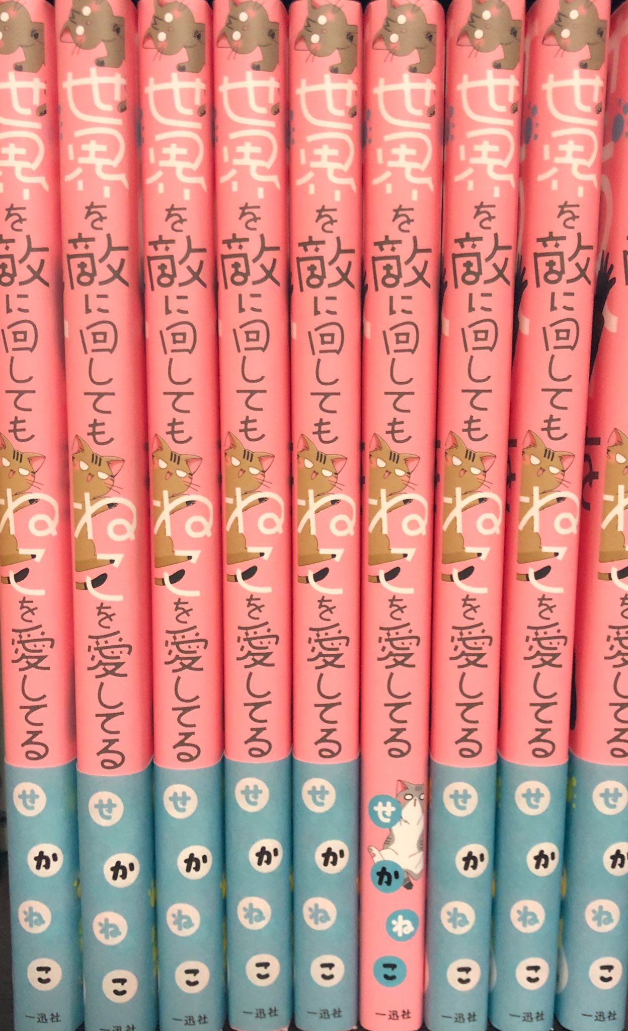 せかねこ めちゃめちゃお気に入りなのがこの背表紙で 帯をとると３匹全員出てくるんです 本棚に並べてもめちゃめちゃ可愛い のですから デザインいただいた時にデザイナーさん 編集さんは天才か と頭を抱えました T Co 5rcgwzpc2m Twitter