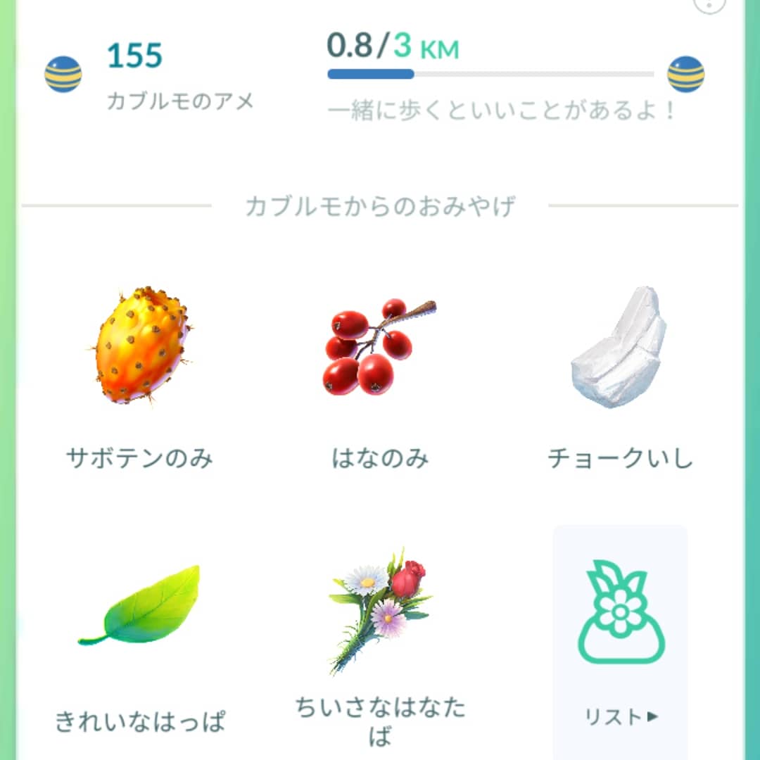 おみやげ ポケgo