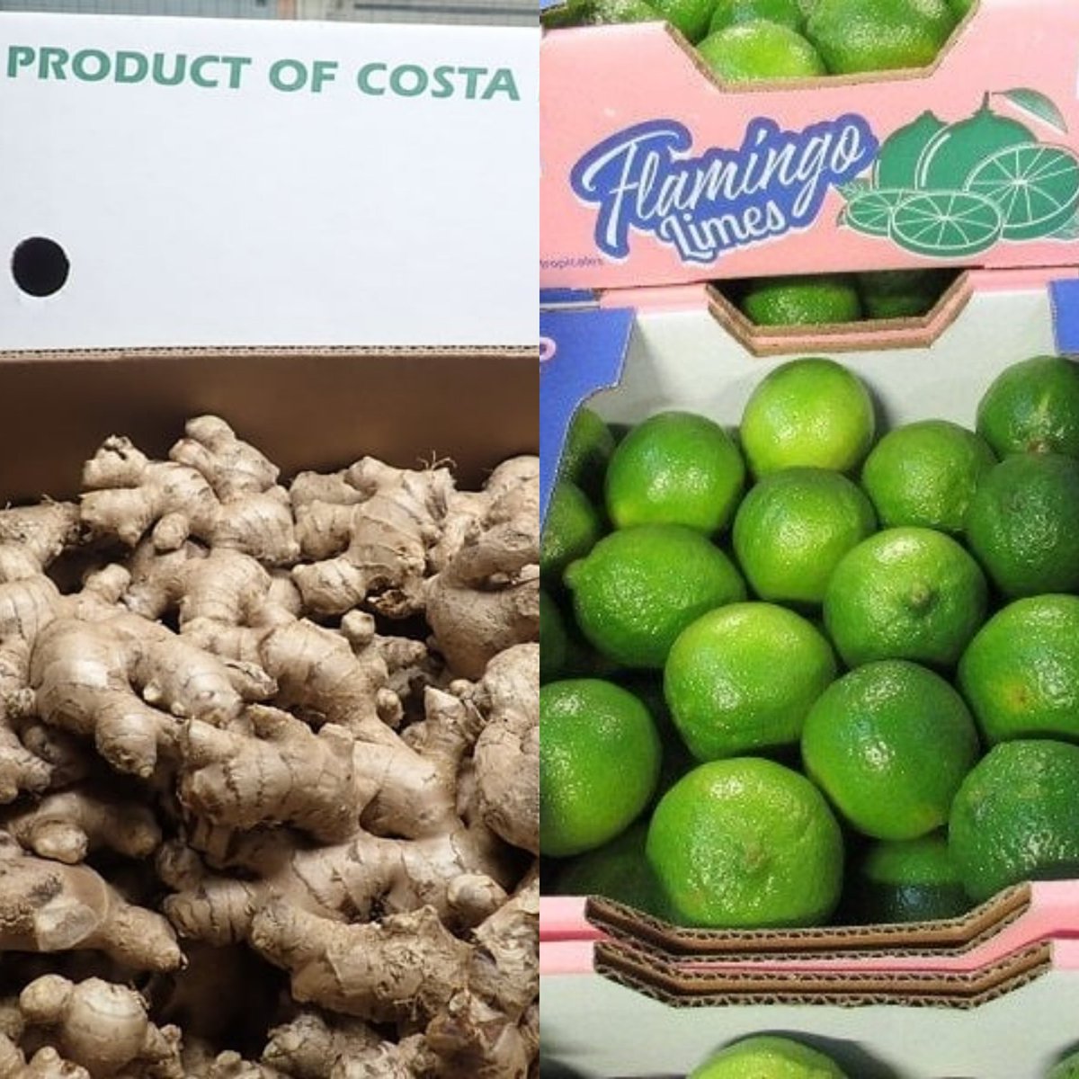 masterfreshuk's tweet photo. Fresh limes and ginger available

#freshproduce #foodie #farmersmarket #fresh #foodservice #shoplocal #seasonalproduce #vegan #food #market  #uk #eatlocal #cheflife  #healthy #fruit #farmtotable #buylocal  #organic  #grocerystore #vegetables #bhfyp #fruit #greengrocer #wholesale https://t.co/HqPbioOwky