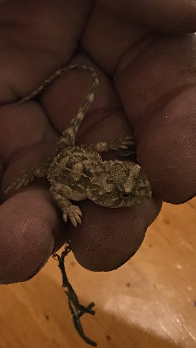 Craig Ayles tweet media