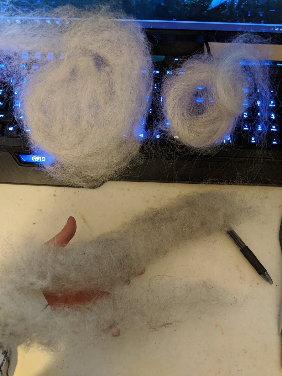 thebalancedsett's tweet photo. 3 preps of one icelandic fleece. well the 2 on top are separated thel and tog using combs, and the bottom is carded seconds. I'm looking forward to how this will turn out when spun 😍 https://t.co/GwTNcilBvg