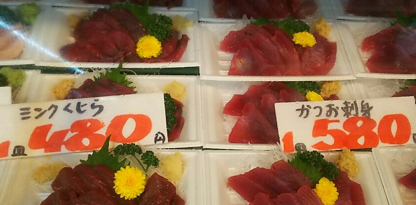 暮らしのセンターながい 本日の鮮魚ラインナップ ミンクくじら刺身 まぐろ刺身 メバチ とんぼ キハダ カツオ刺身 刺身 ぶり やりいか ホタルイカ セグロイワシ 生食 魚好きにはたまらない あら ぶり かつお くじら刺身