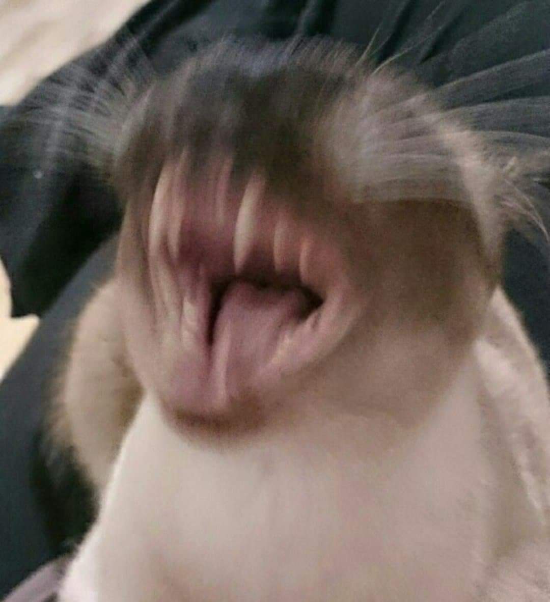 Alec (@darkxsidx) on Twitter photo 