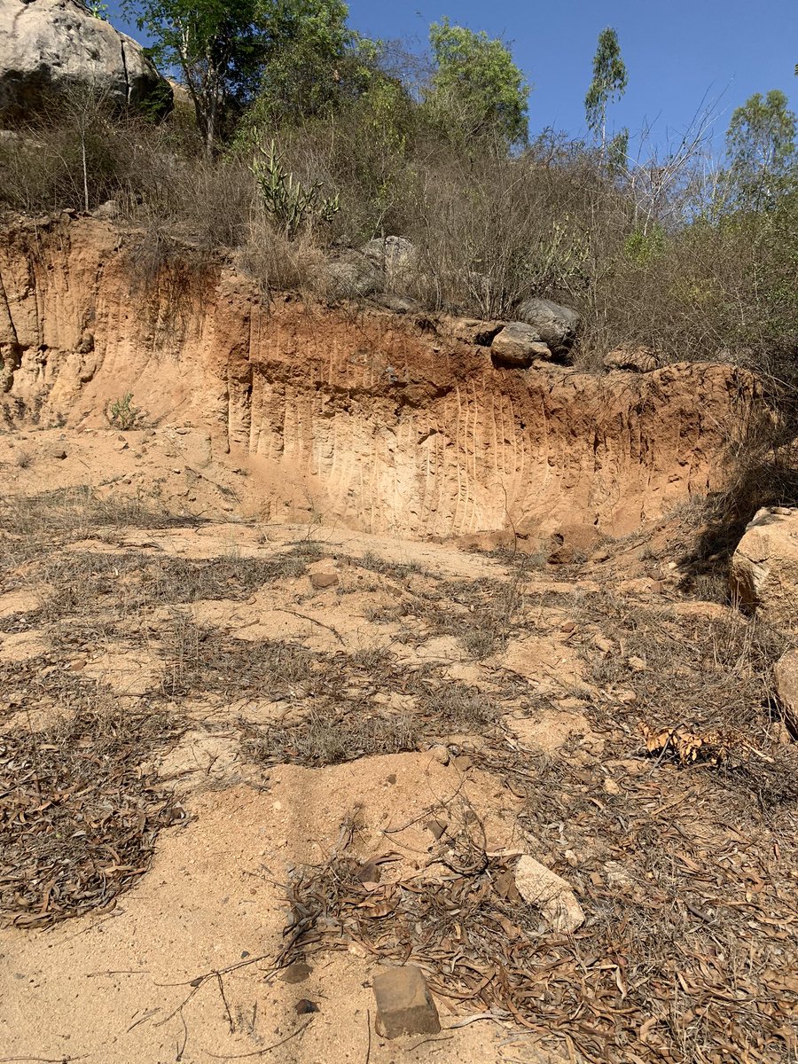 beingheartfully's tweet photo. @collectorctr how to kabja a hill slowly by corrupting the local panchayat people. Sbandapalli, VKota https://t.co/42nzYEkT55