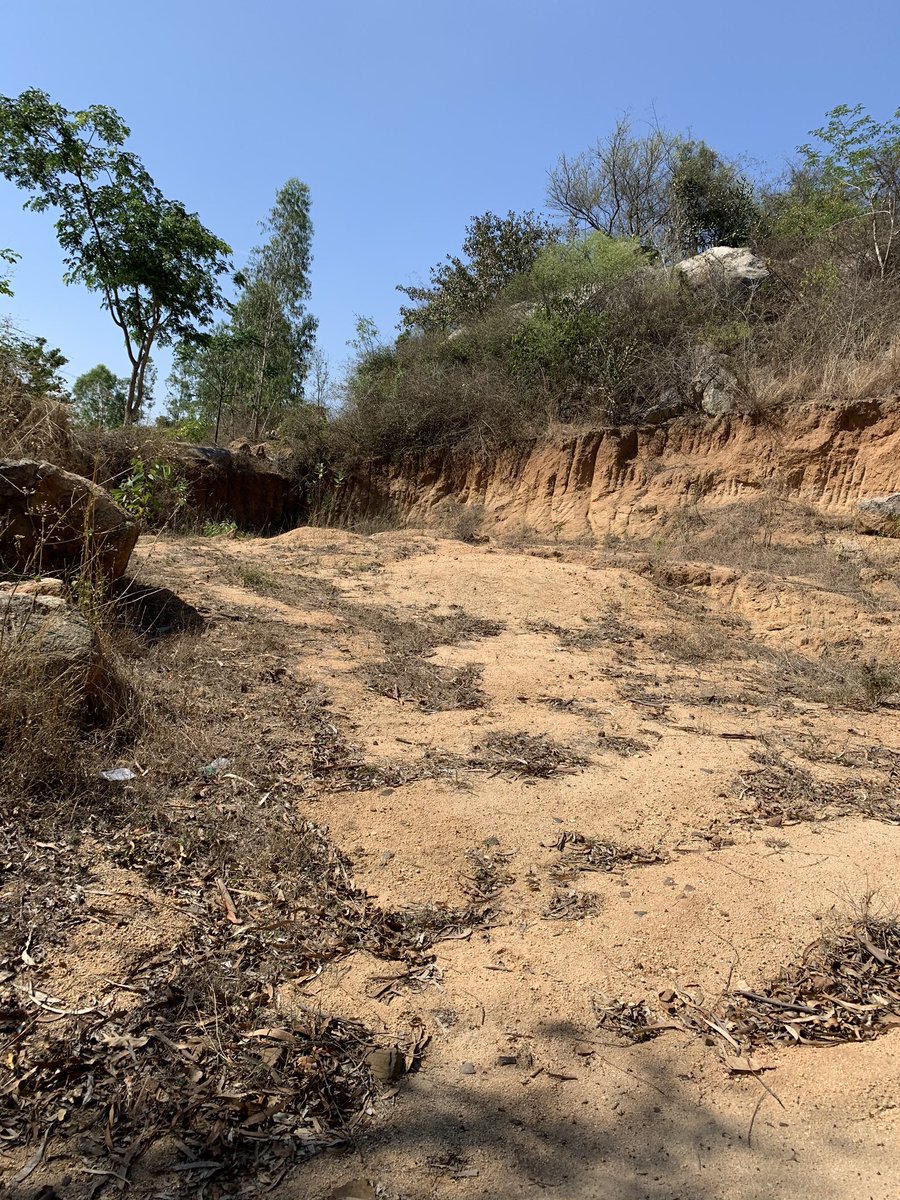 beingheartfully's tweet photo. @collectorctr how to kabja a hill slowly by corrupting the local panchayat people. Sbandapalli, VKota https://t.co/42nzYEkT55