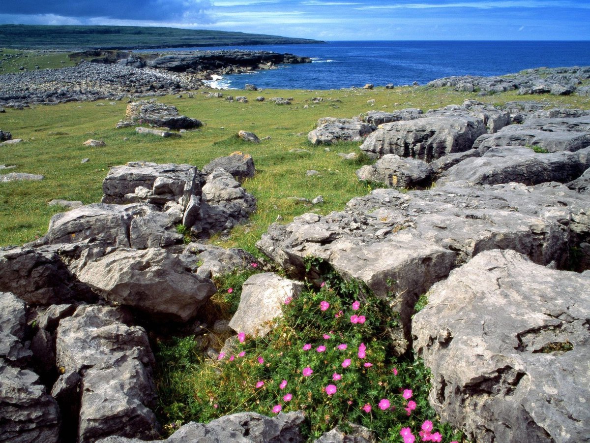 2) The Burren in County Clare, Ireland. Impossibly rocky, stunning coastline, dotted with the ruins of 4000-year-old megaliths, ringforts, and medieval tower houses.