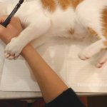 在宅ワークはめちゃくちゃ難しい!みんなしっかり理解してる？？？
