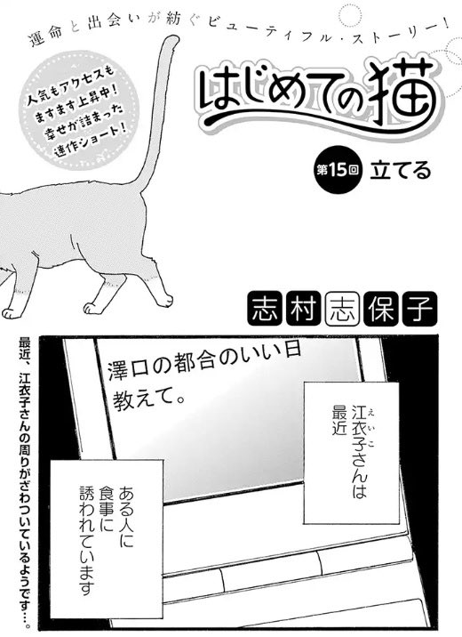 志村志保子 はじめての猫 2人編 発売中 Shimurashihoko Twitter