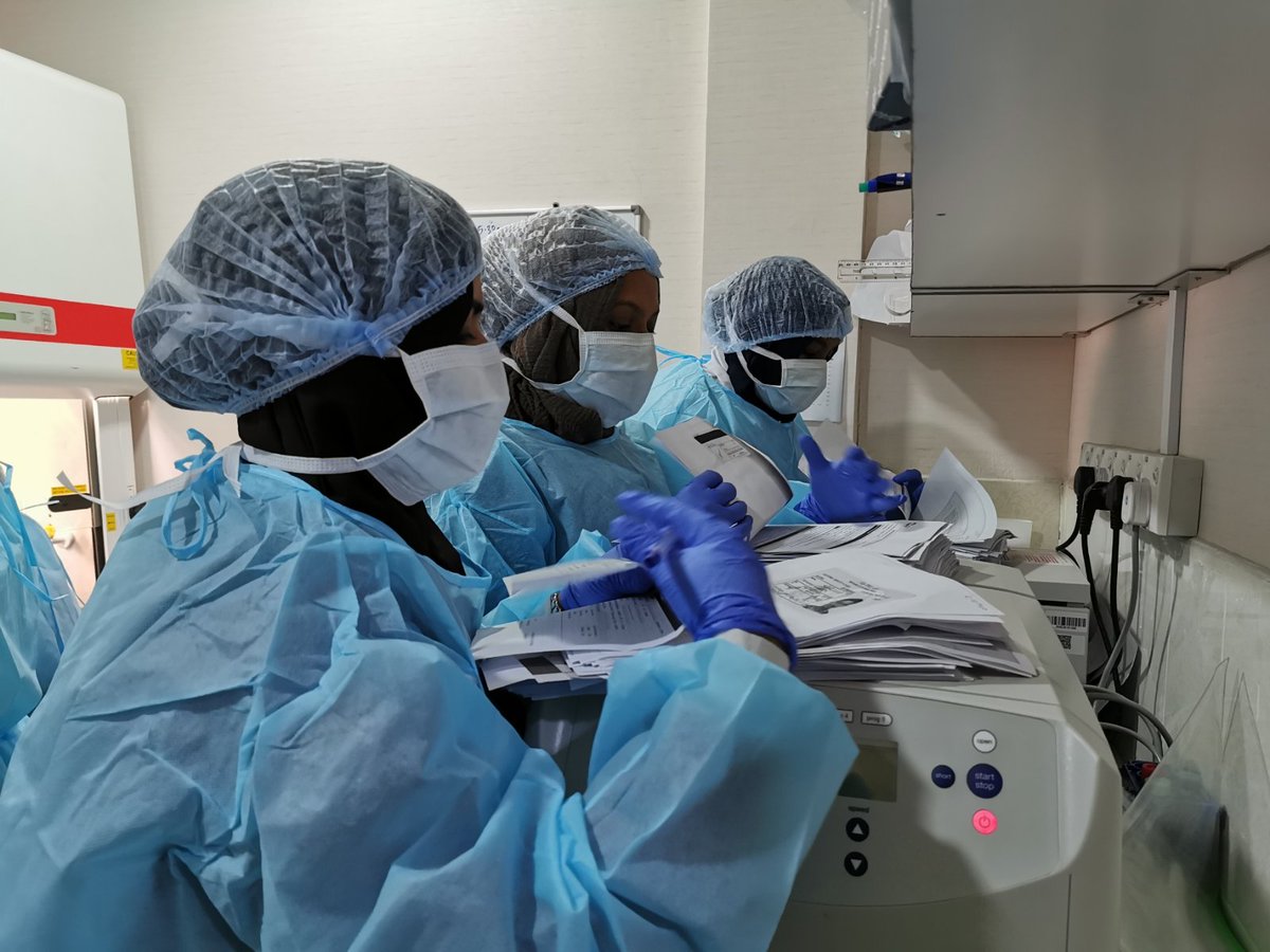 Aminath Nazfa tweet media