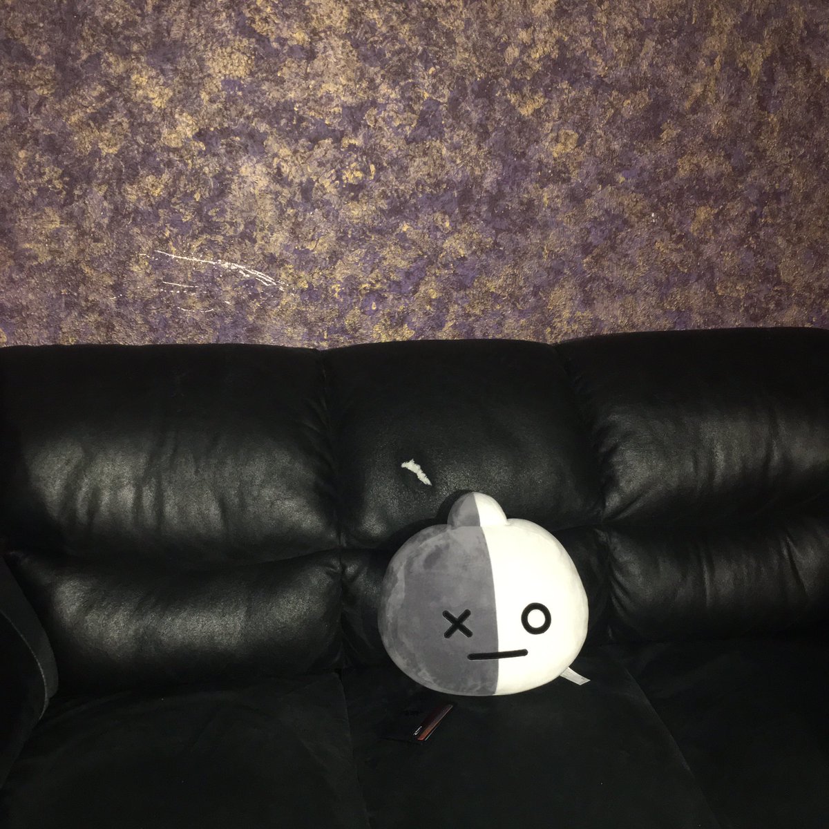 faiifz's tweet photo. the only decoration allowed in the studio https://t.co/ZWd37fu9yV