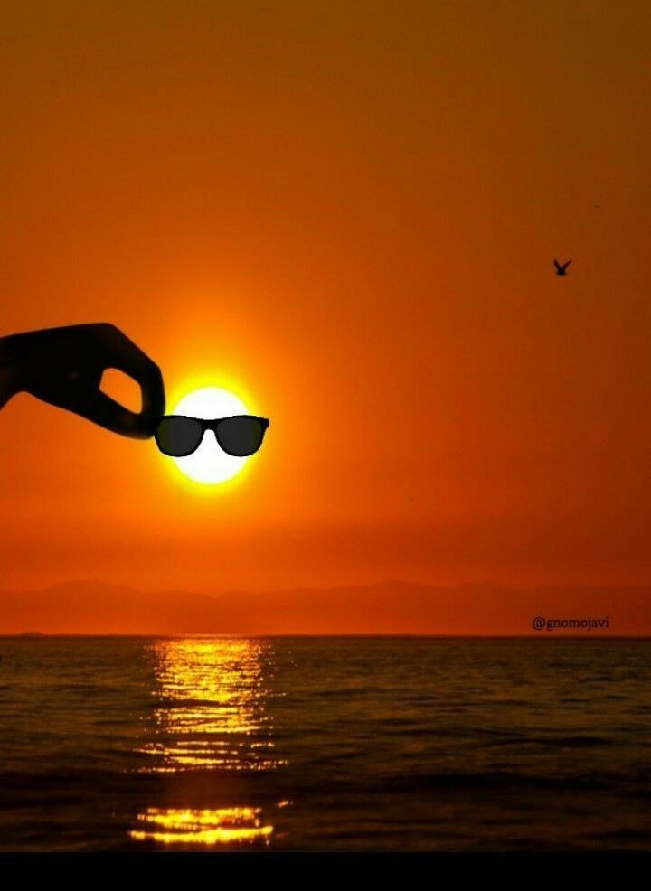 sreya_shree's tweet photo. Framed by: @Avinash (Avi)
E.C.: @SoumoshreeBB
No sun outlasts its sunset, but will rise again and bring the dawn.
#coolSun
#Rise_Of_Team
#PhotoshootOfPhotography https://t.co/FUU20MiIaL