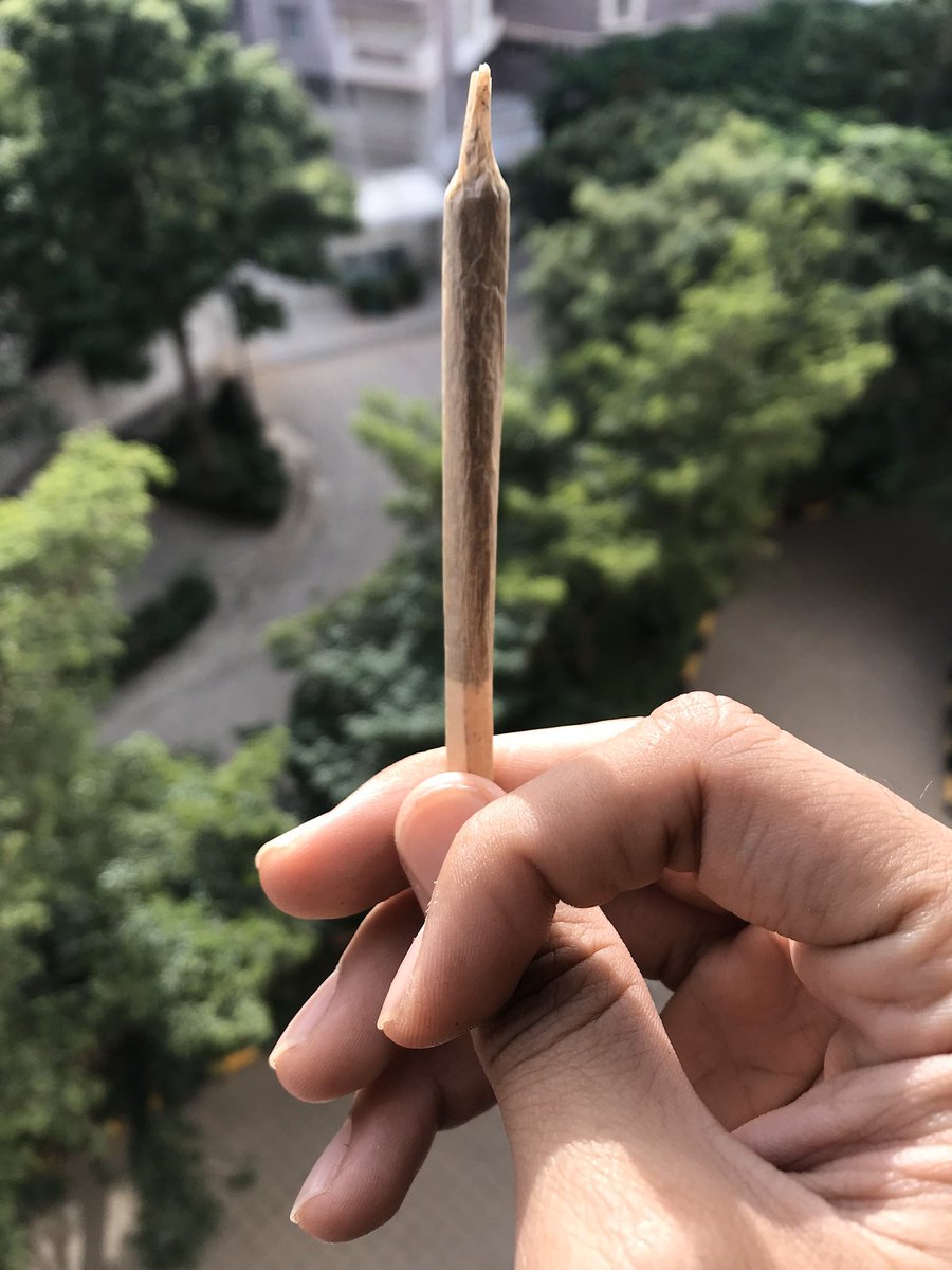 _ultranoob's tweet photo. aap chronology samajhiye
happy 420 https://t.co/mpuEfjb3iP