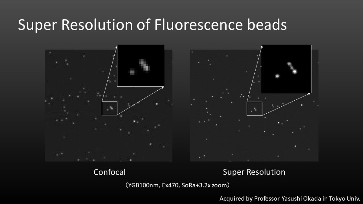 Chroma_JP's tweet photo. LDI-7
We achieved super resolution with LDI-7 and Yokogawa CSU-W1 SoRa. 200nm resolution which was disable by confocal microscopy was realized. Please contact hokugawa@chroma.com for the detail.
#superresolution
#Microscop
#yokogawa https://t.co/PRO08FU6f4