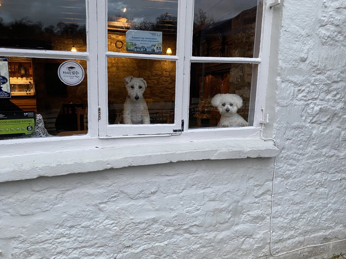 thedaneway's tweet photo. When are the customers coming back?? https://t.co/xyc8s0ICr9