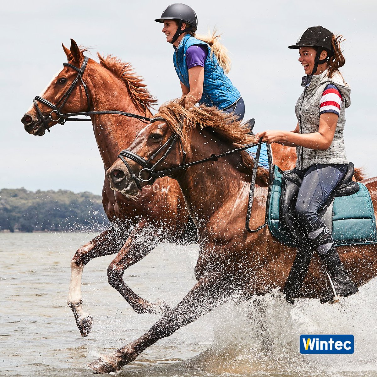 🌊 No leather... NO LIMITS! 🌊

Don't hold back, just grab your waterproof Wintec and GO!

Beachproof and riverproof saddles and accessories available at ➡️ wintec-saddles.com 

 #wintecsaddle #wintecsaddles #noleathernolimits #timetoride