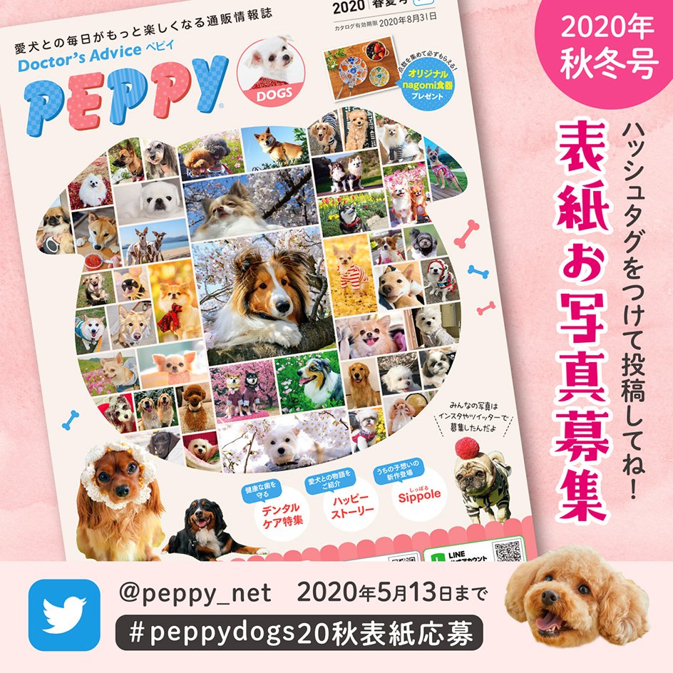 Peppy ペピイ 表紙掲載写真大募集 年秋冬号ｶﾀﾛｸﾞ表紙に掲載するお写真大募集中 ﾌｫﾛｰ うちの子のﾍﾞｽﾄｼｮｯﾄを下記のﾊｯｼｭﾀｸﾞをつけてお寄せ下さい のご応募 Peppydogs秋表紙応募 のご応募 Peppycats秋表紙応募 沢山のご応募お待ちし