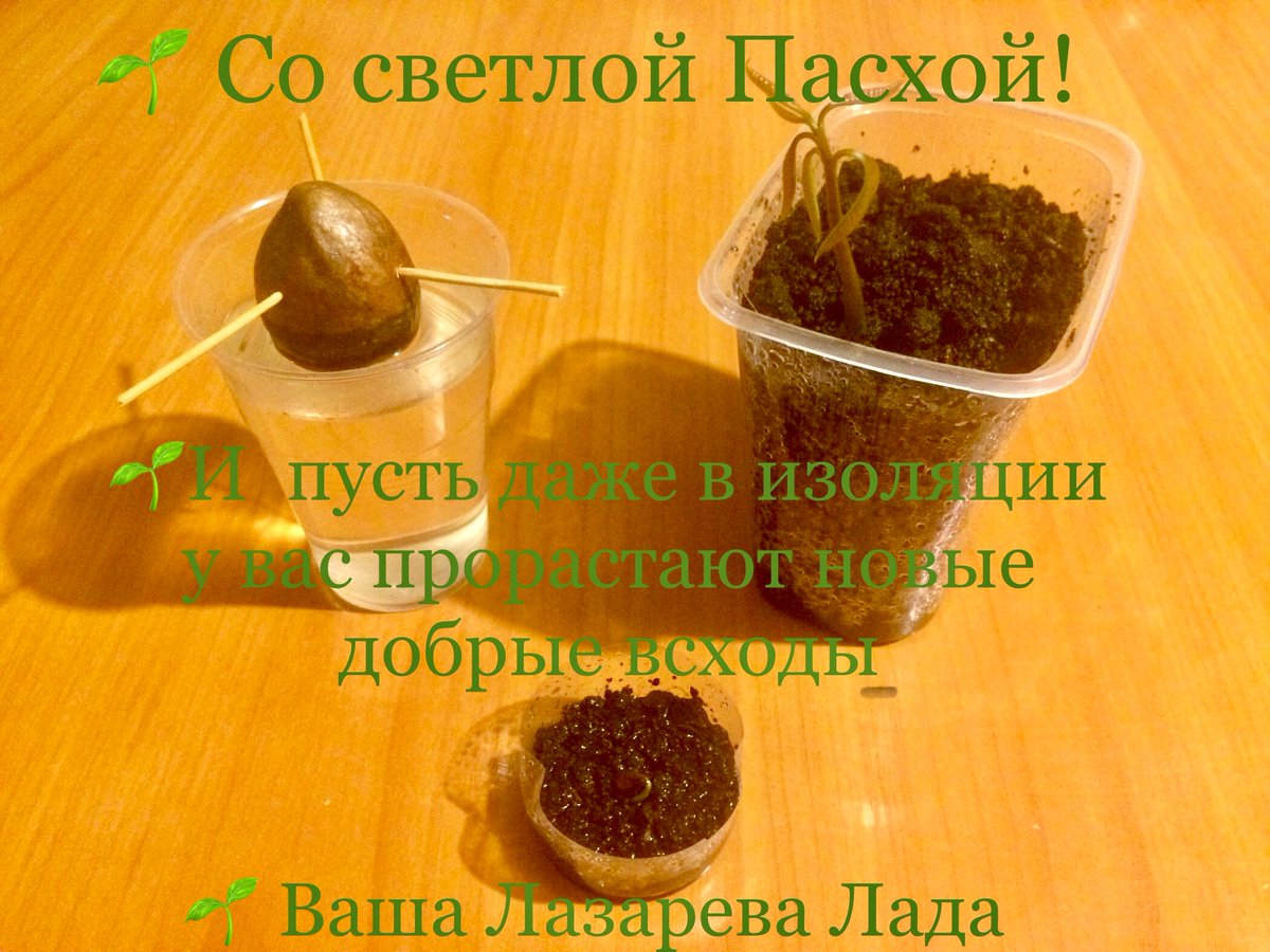 Банзай на наш лад Банзай на наш лад